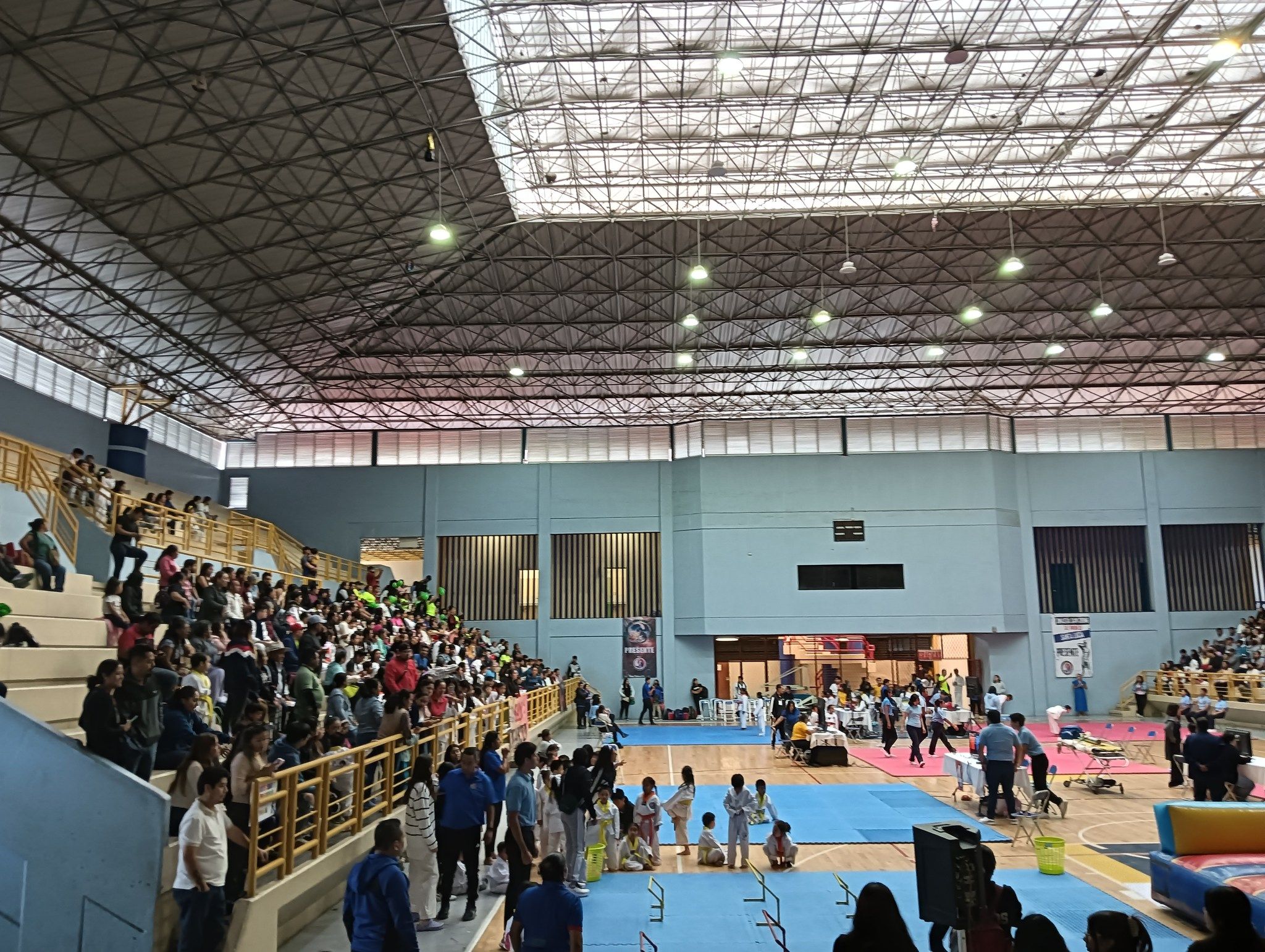 Dinastia León Negro TKD 2