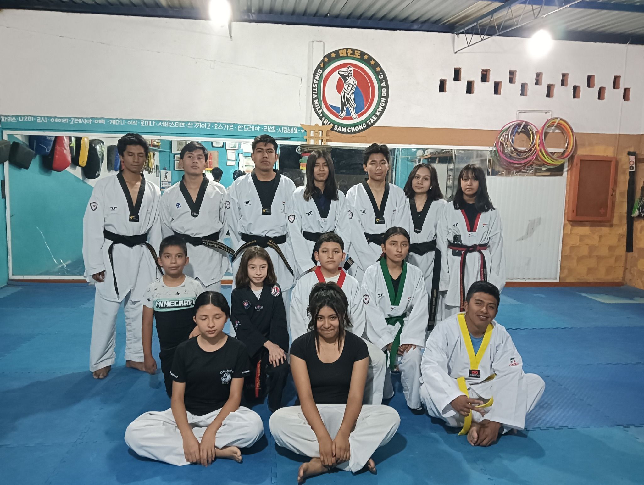 Dinastia León Negro TKD 4