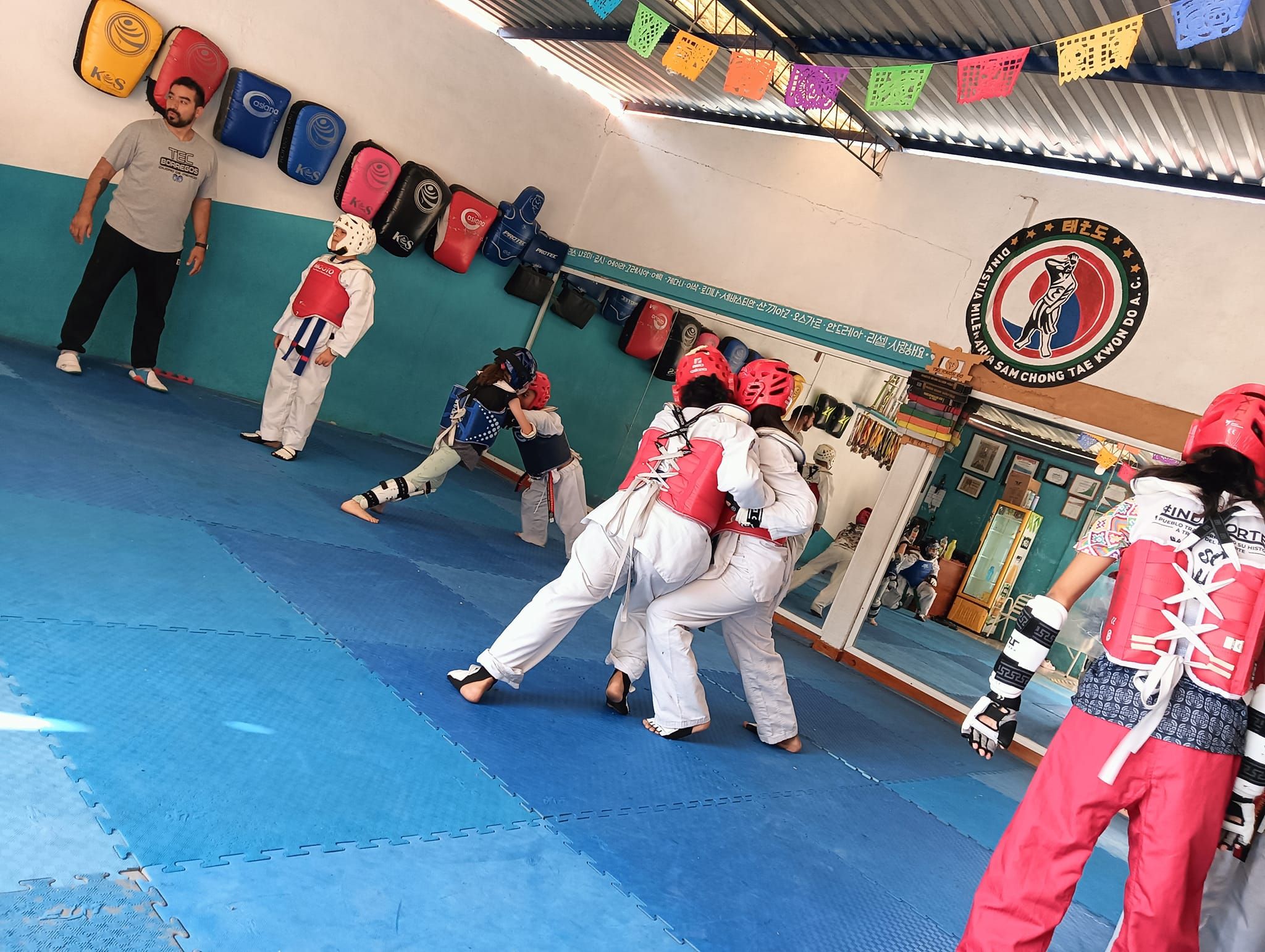 Dinastia León Negro TKD 5