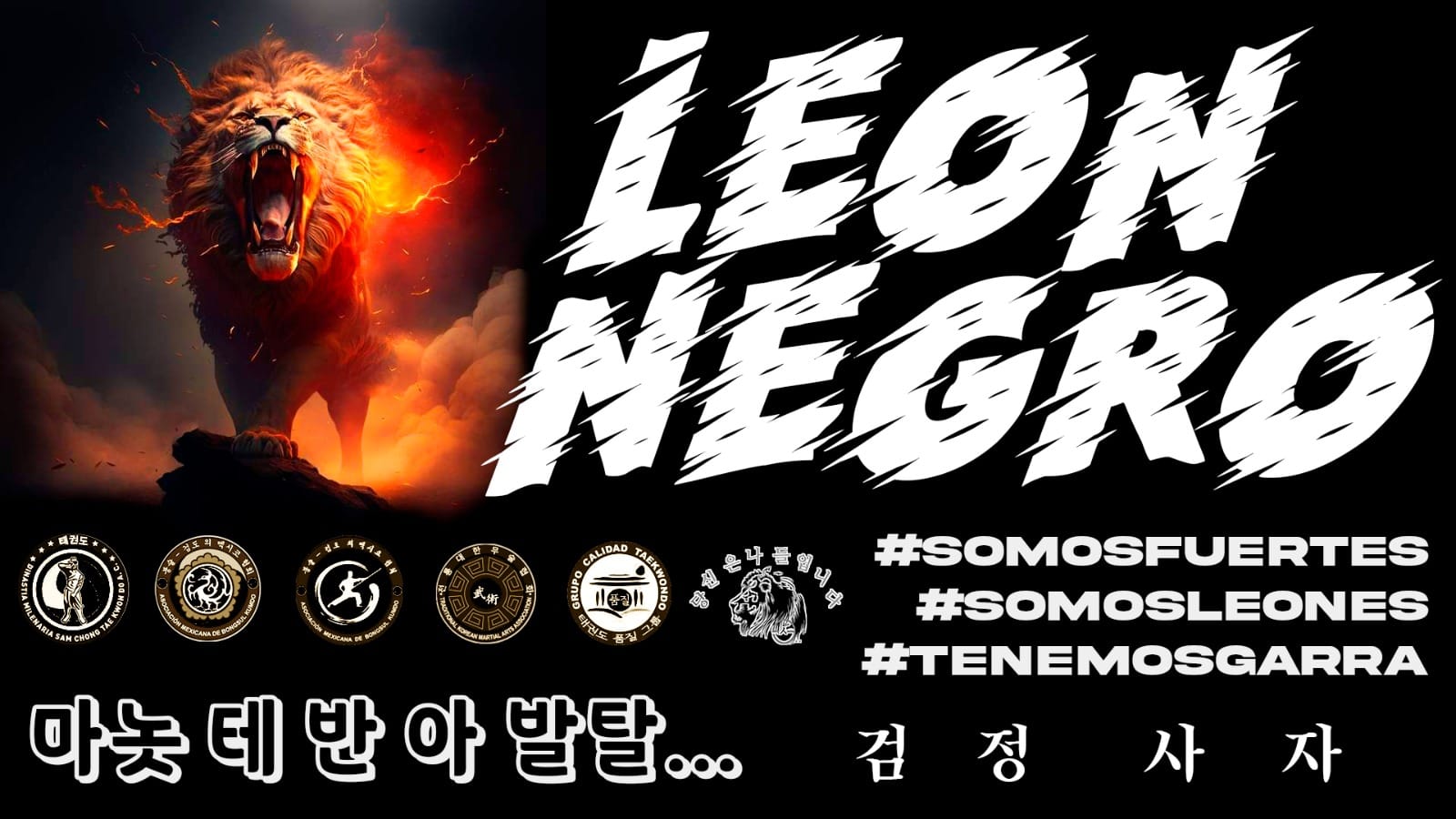 Dinastia León Negro TKD