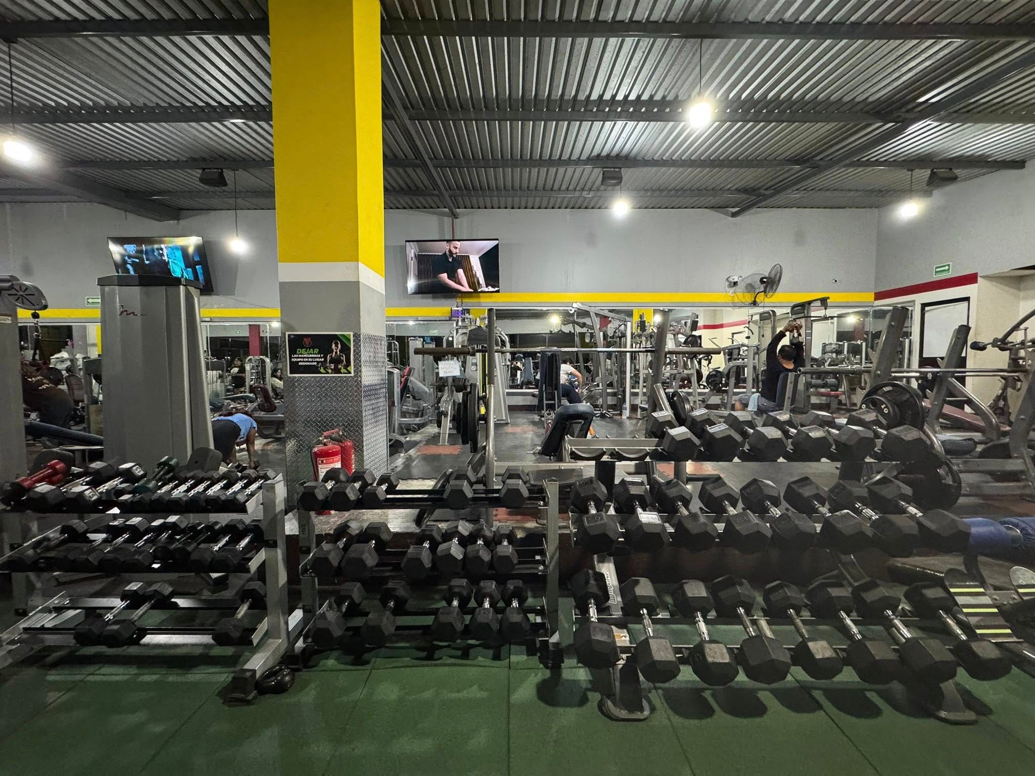 Mave's Gym 5