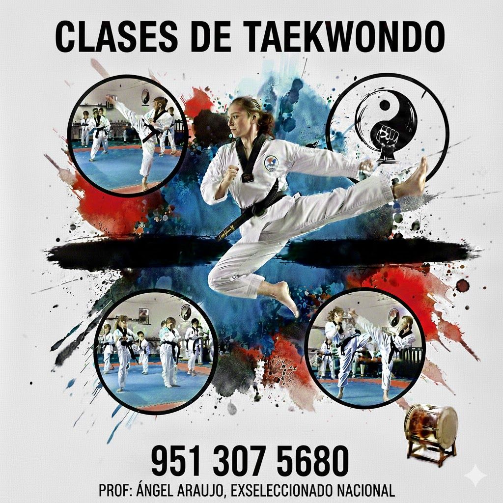 Tiger Combat System 3