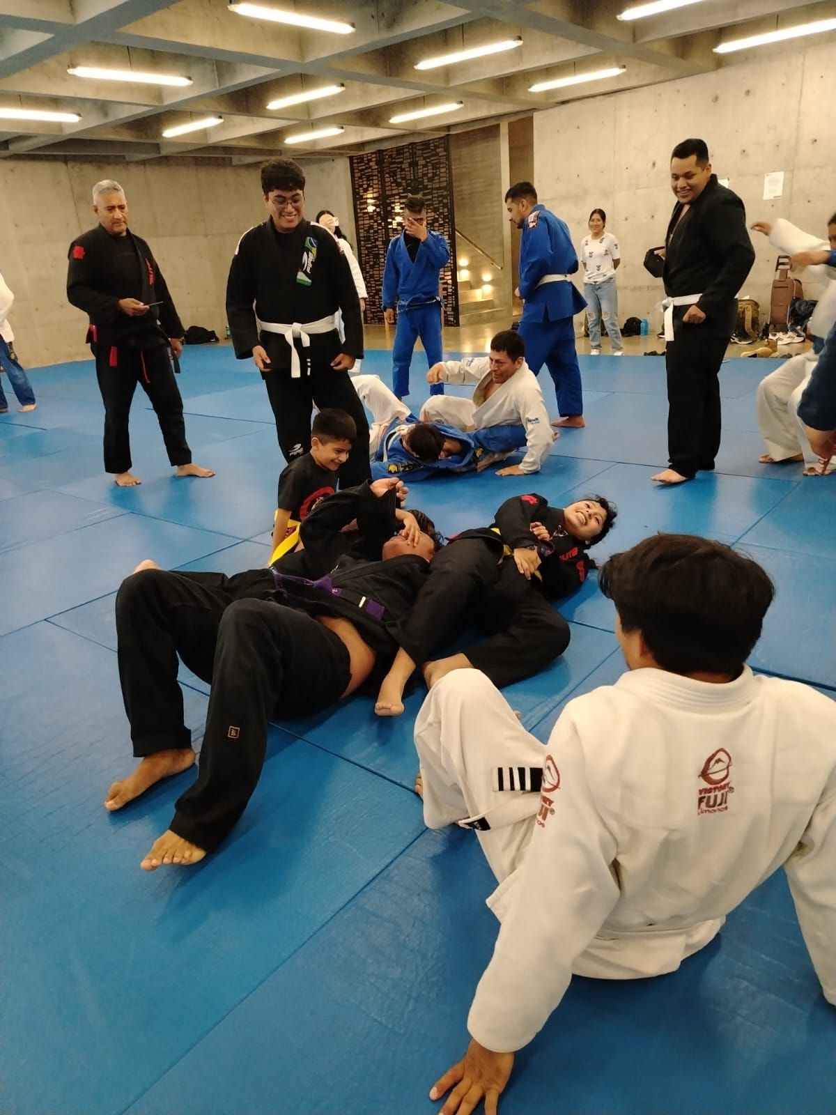 Tiger Combat System 5